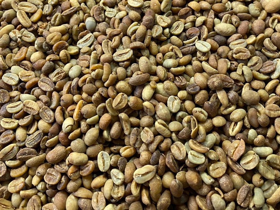 Wine process green coffee beans